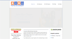 Desktop Screenshot of ctvet.com